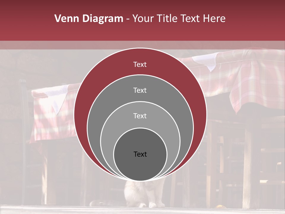 A Cat Sitting On The Ground In Front Of A Table PowerPoint Template