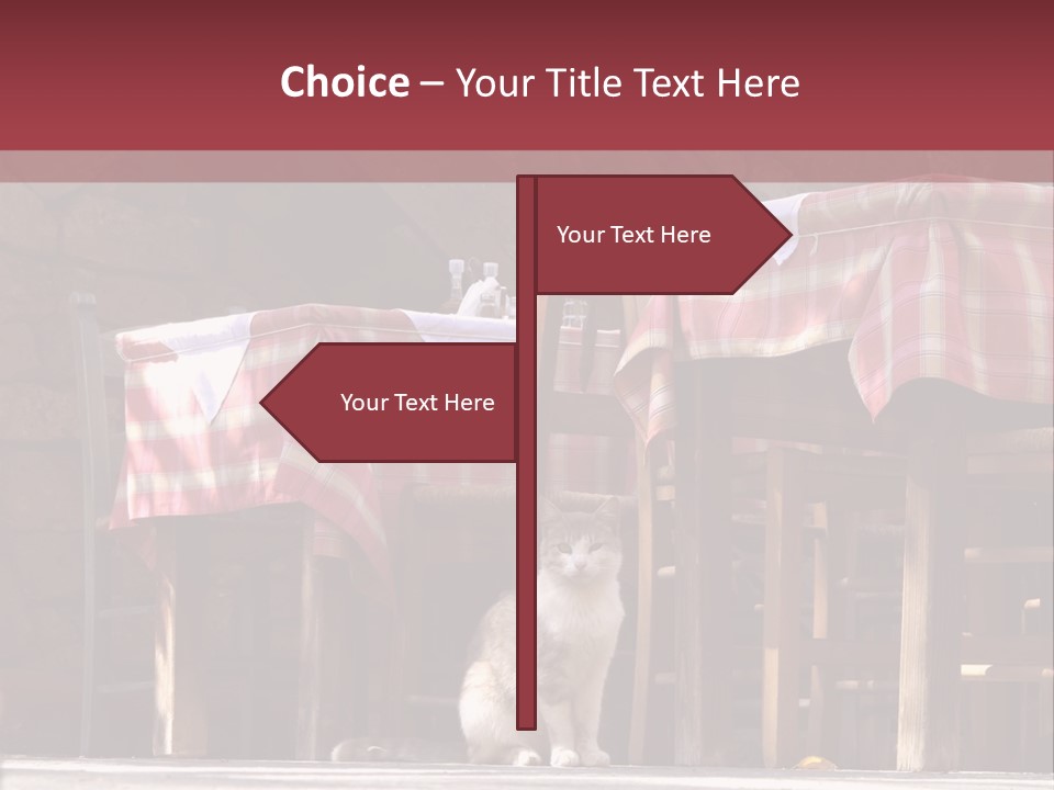 A Cat Sitting On The Ground In Front Of A Table PowerPoint Template