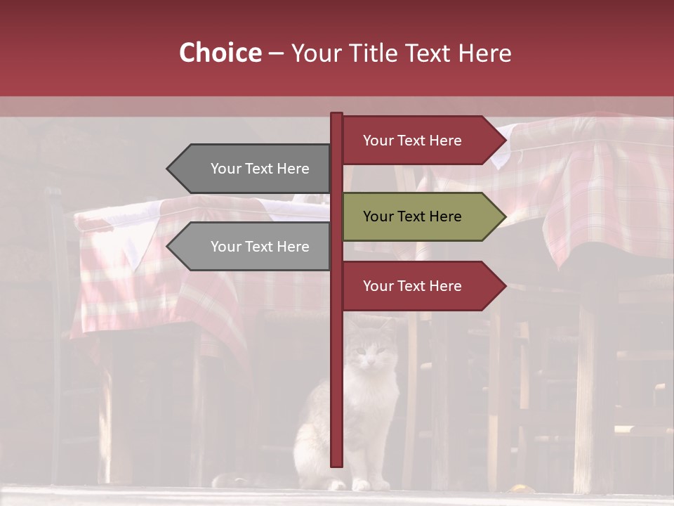 A Cat Sitting On The Ground In Front Of A Table PowerPoint Template