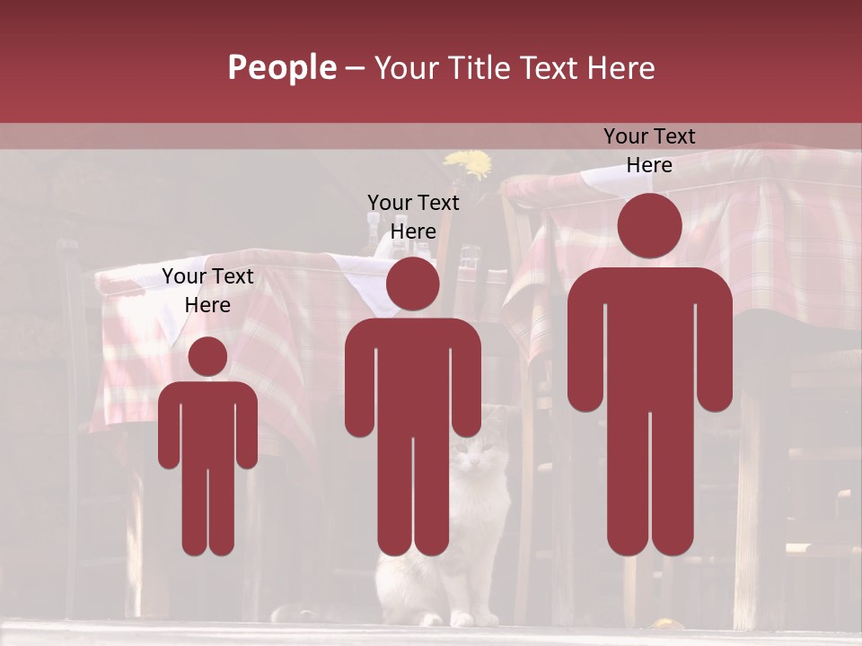 A Cat Sitting On The Ground In Front Of A Table PowerPoint Template