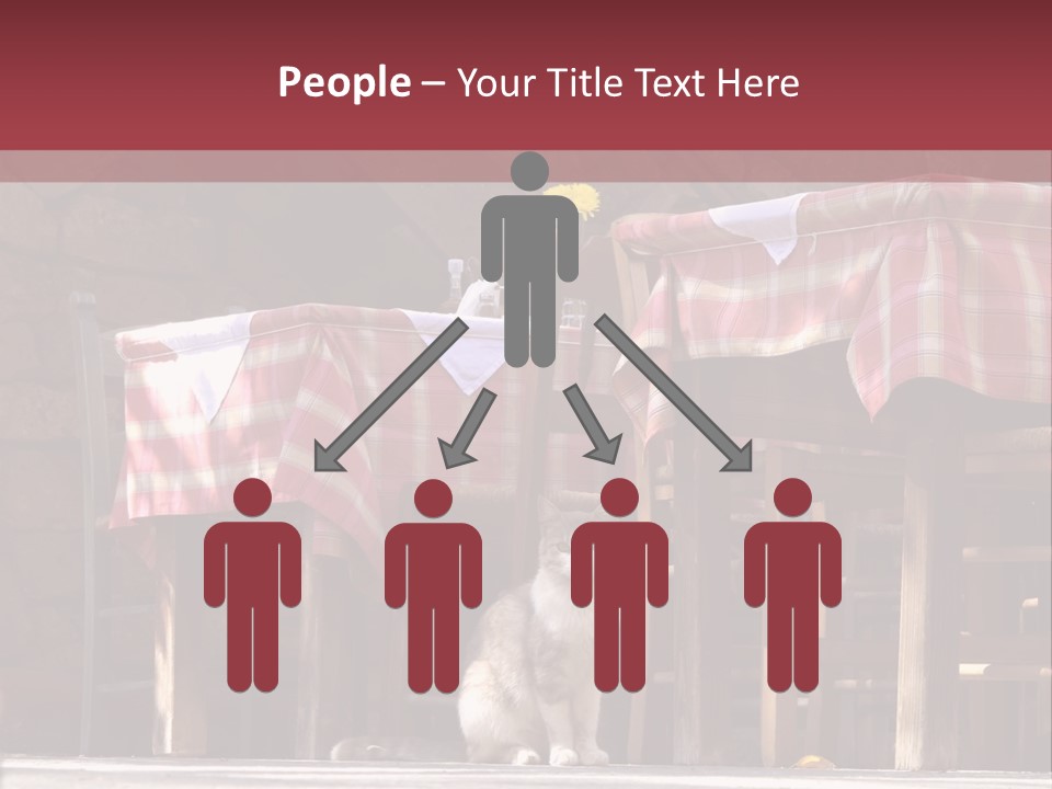 A Cat Sitting On The Ground In Front Of A Table PowerPoint Template