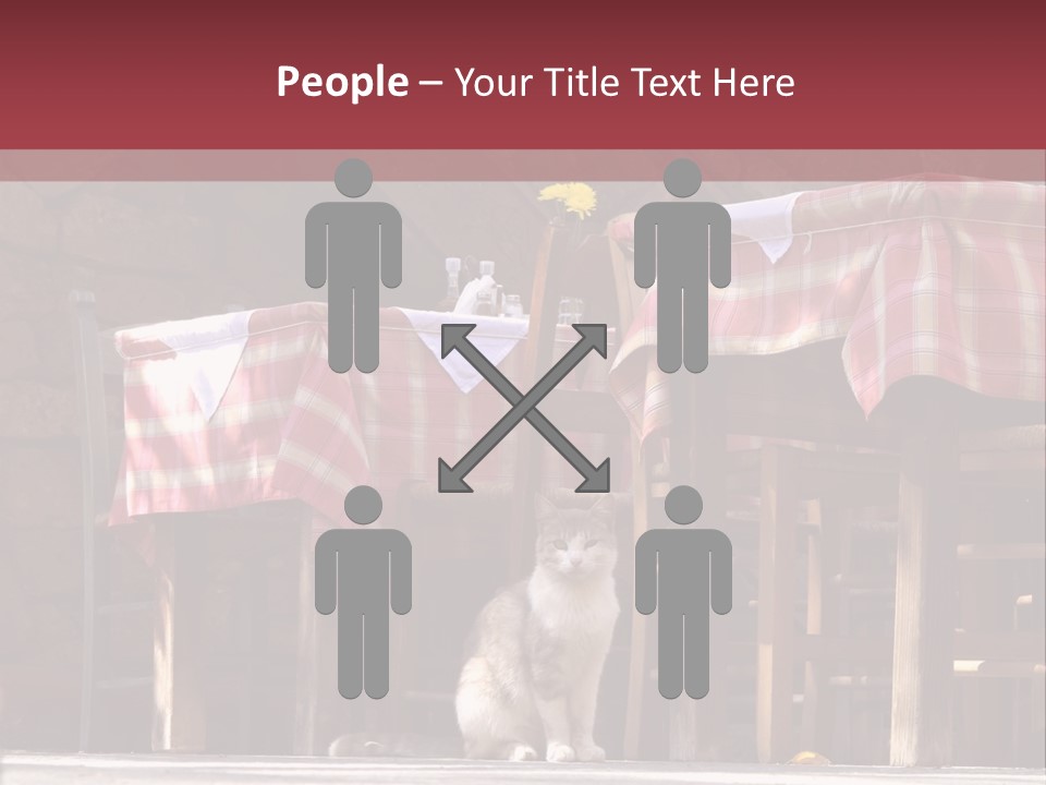 A Cat Sitting On The Ground In Front Of A Table PowerPoint Template