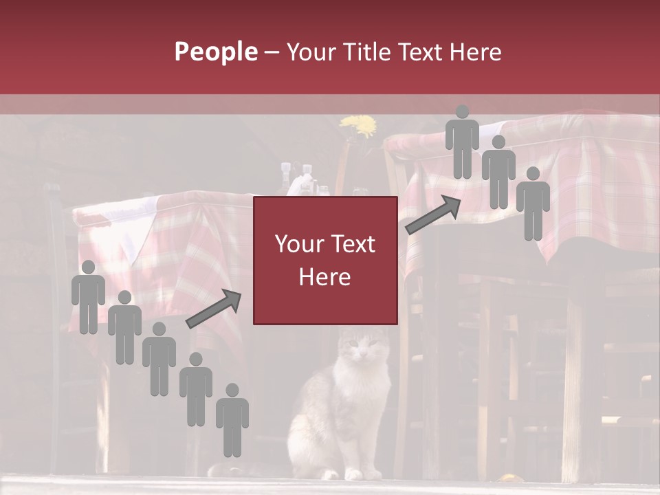 A Cat Sitting On The Ground In Front Of A Table PowerPoint Template