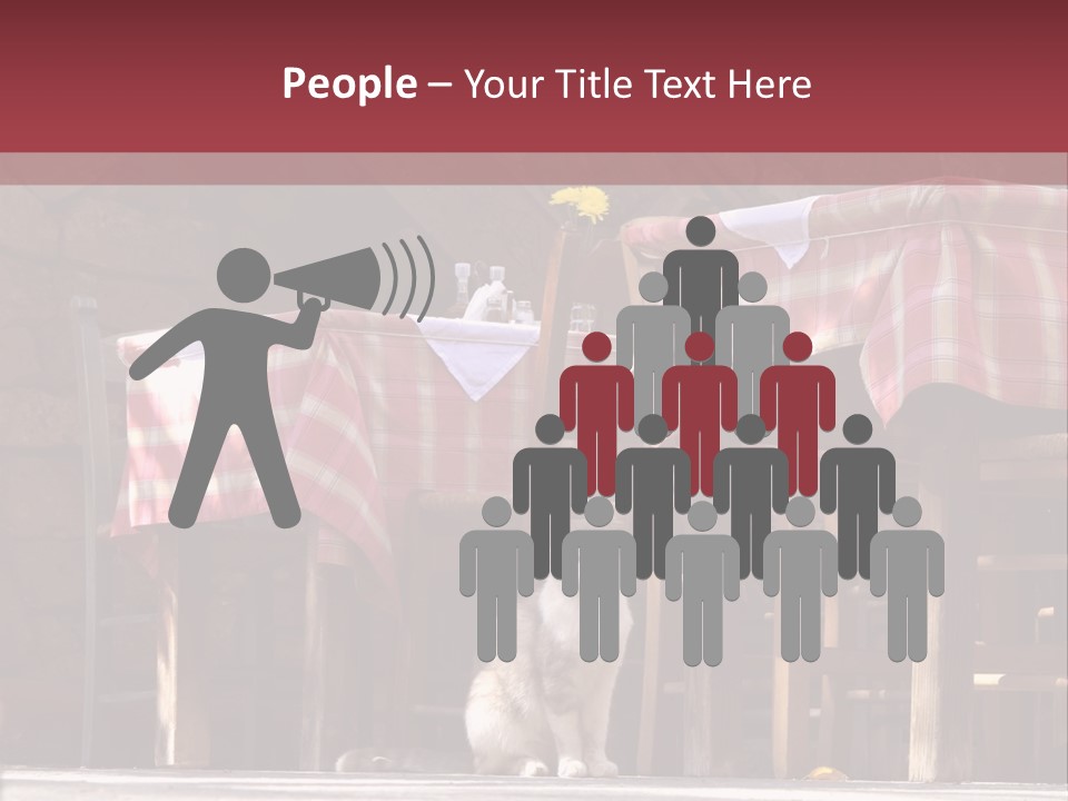 A Cat Sitting On The Ground In Front Of A Table PowerPoint Template