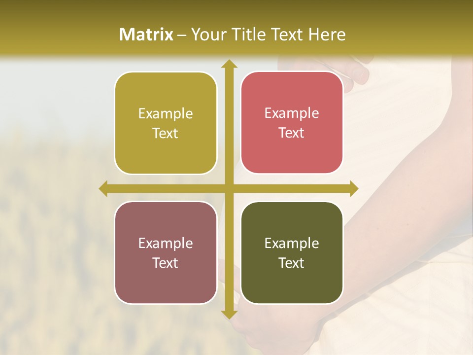 A Pregnant Woman Holding Her Belly In A Field PowerPoint Template