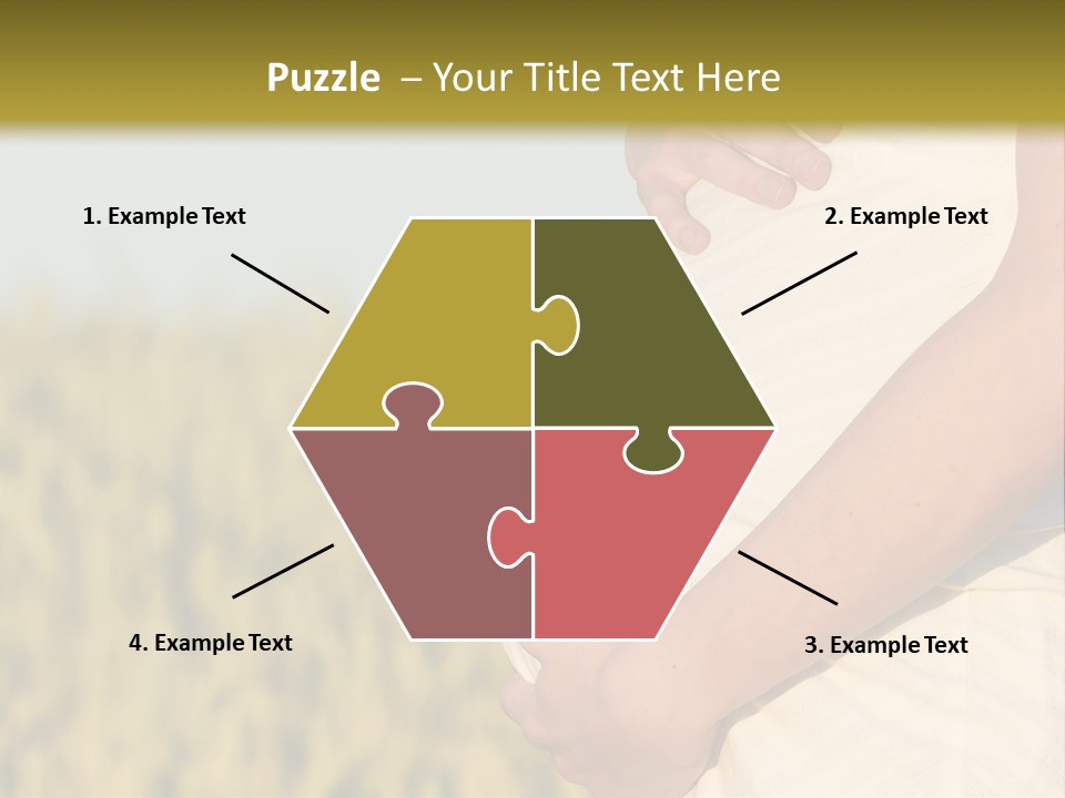 A Pregnant Woman Holding Her Belly In A Field PowerPoint Template