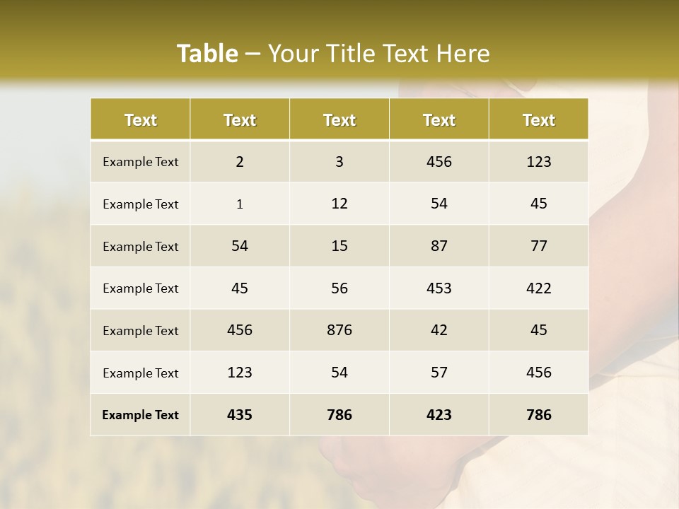 A Pregnant Woman Holding Her Belly In A Field PowerPoint Template