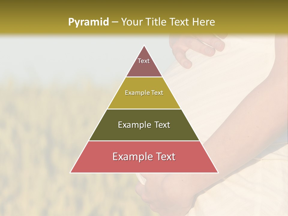A Pregnant Woman Holding Her Belly In A Field PowerPoint Template