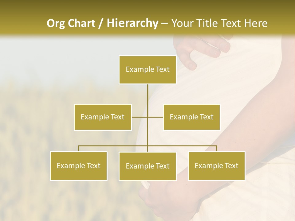 A Pregnant Woman Holding Her Belly In A Field PowerPoint Template