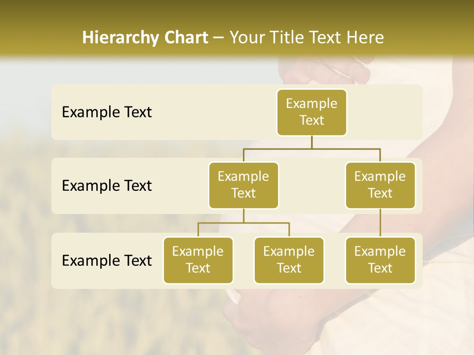 A Pregnant Woman Holding Her Belly In A Field PowerPoint Template