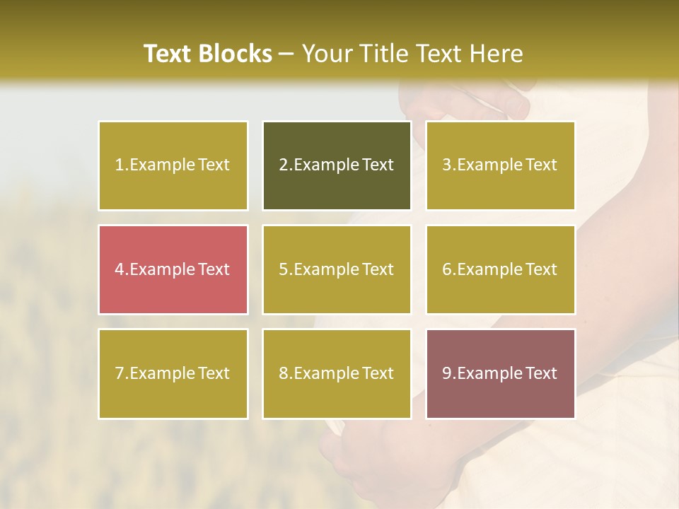 A Pregnant Woman Holding Her Belly In A Field PowerPoint Template