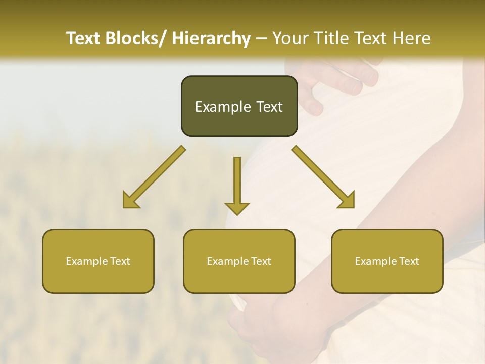 A Pregnant Woman Holding Her Belly In A Field PowerPoint Template
