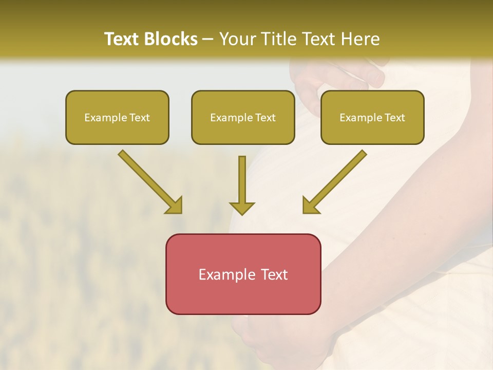 A Pregnant Woman Holding Her Belly In A Field PowerPoint Template