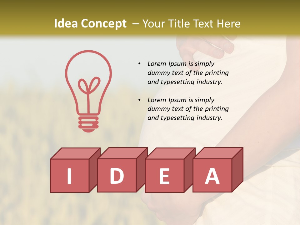 A Pregnant Woman Holding Her Belly In A Field PowerPoint Template