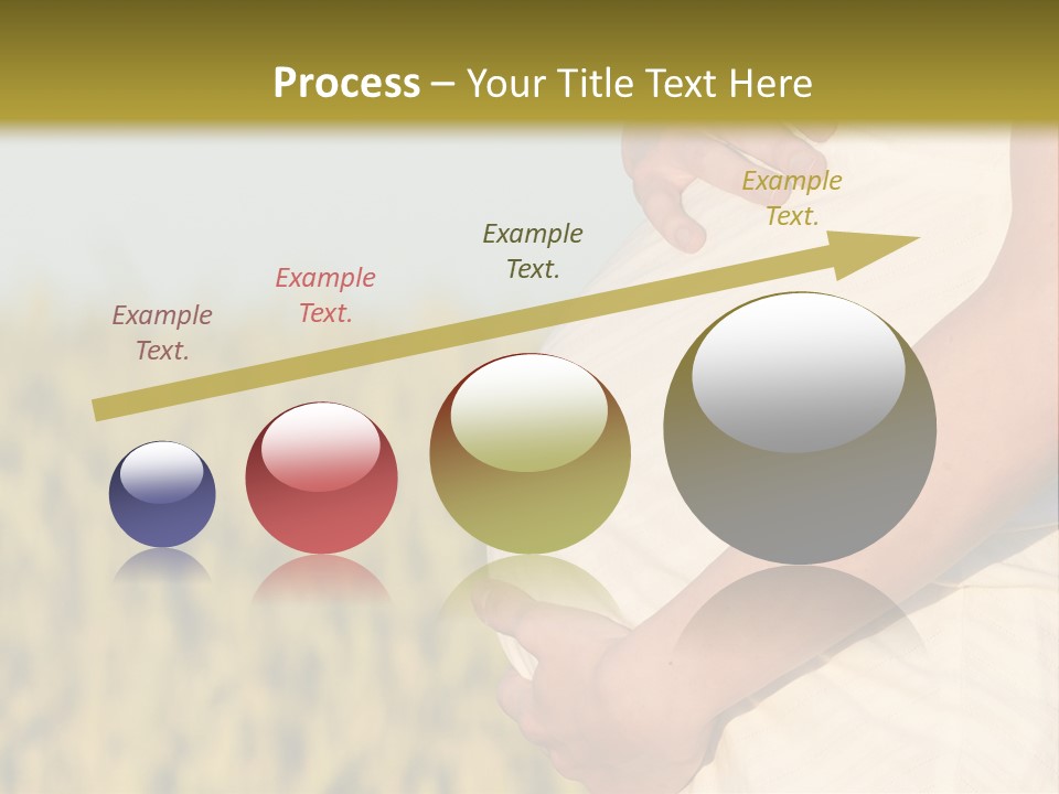 A Pregnant Woman Holding Her Belly In A Field PowerPoint Template