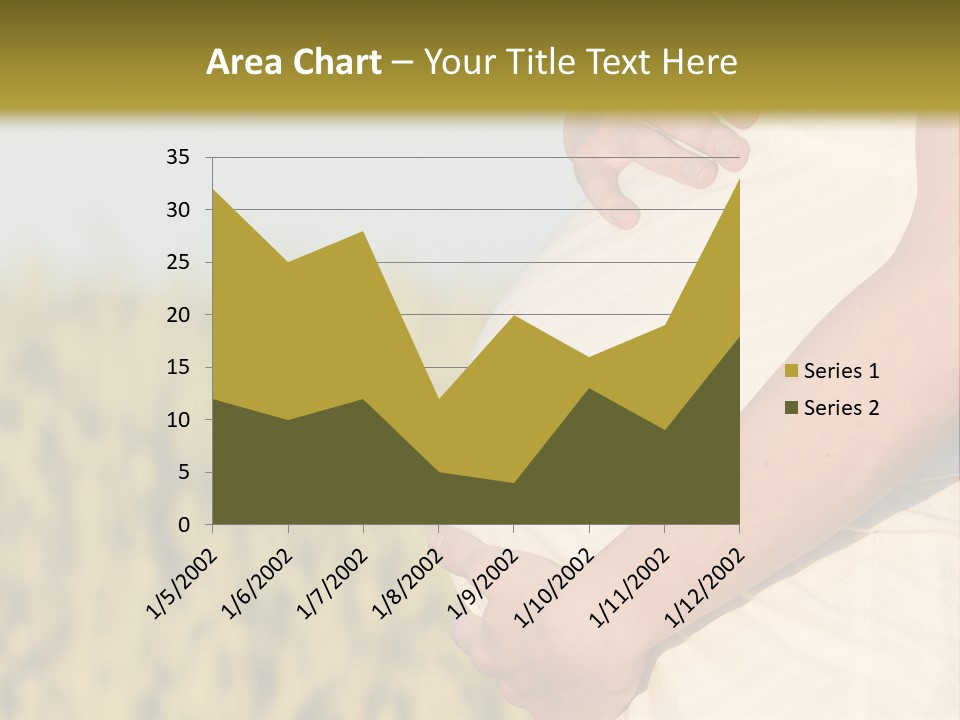 A Pregnant Woman Holding Her Belly In A Field PowerPoint Template