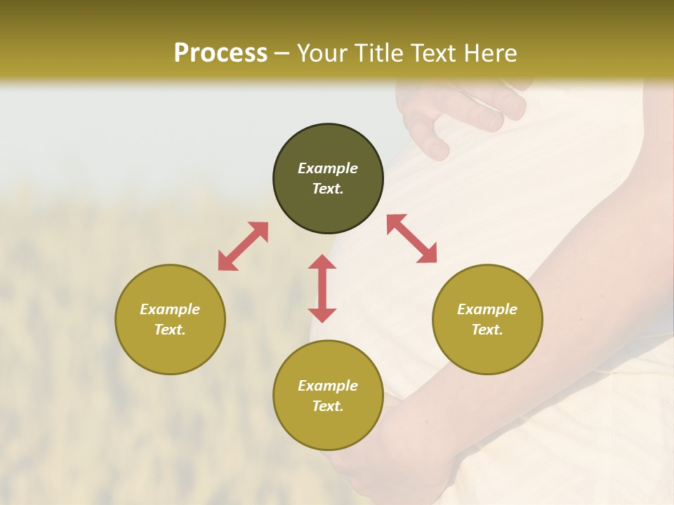 A Pregnant Woman Holding Her Belly In A Field PowerPoint Template