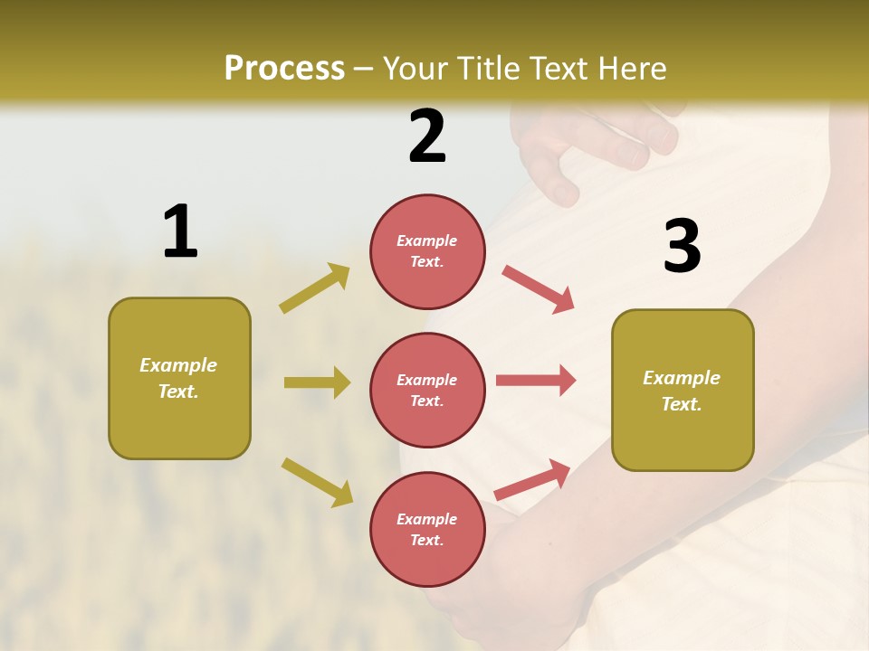 A Pregnant Woman Holding Her Belly In A Field PowerPoint Template
