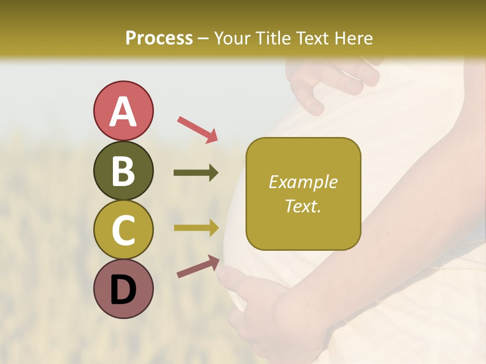 A Pregnant Woman Holding Her Belly In A Field PowerPoint Template