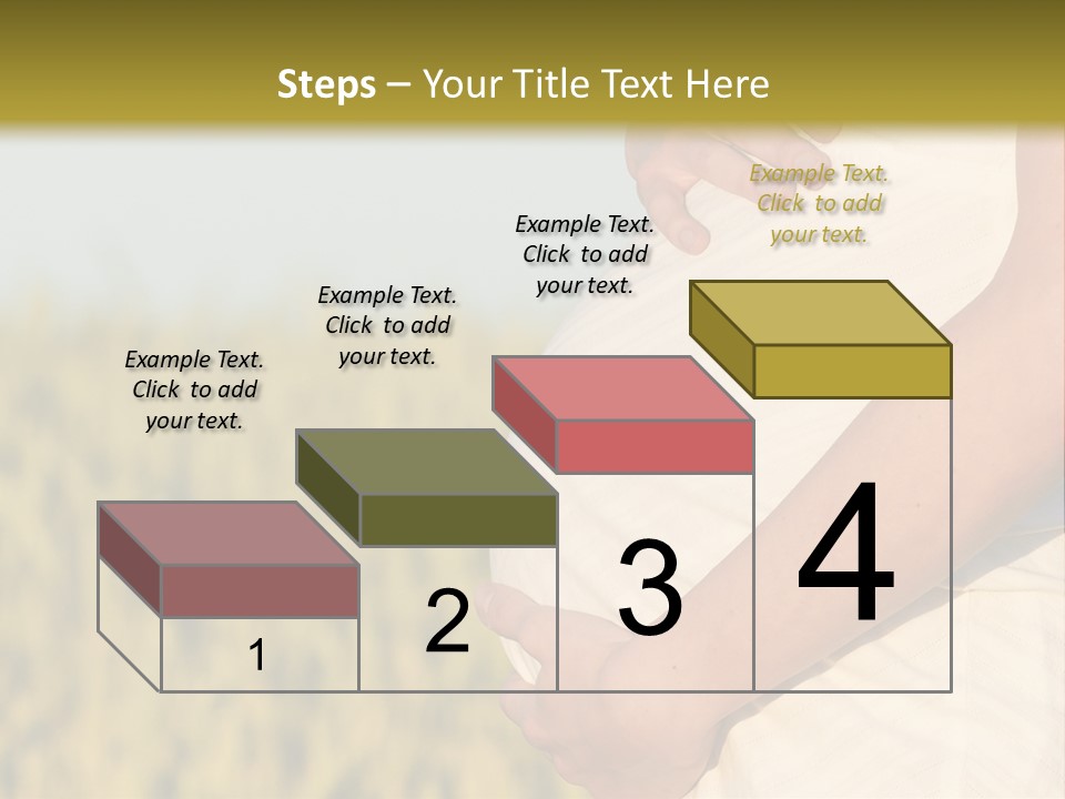 A Pregnant Woman Holding Her Belly In A Field PowerPoint Template