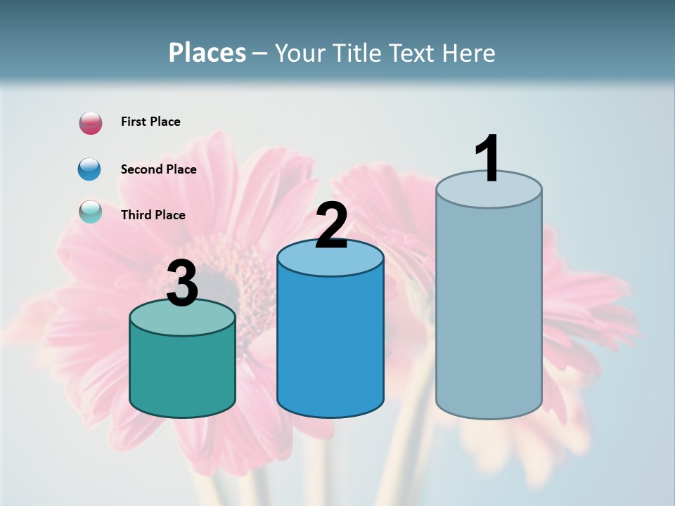 Three Pink Flowers In A Vase On A Blue Background PowerPoint Template