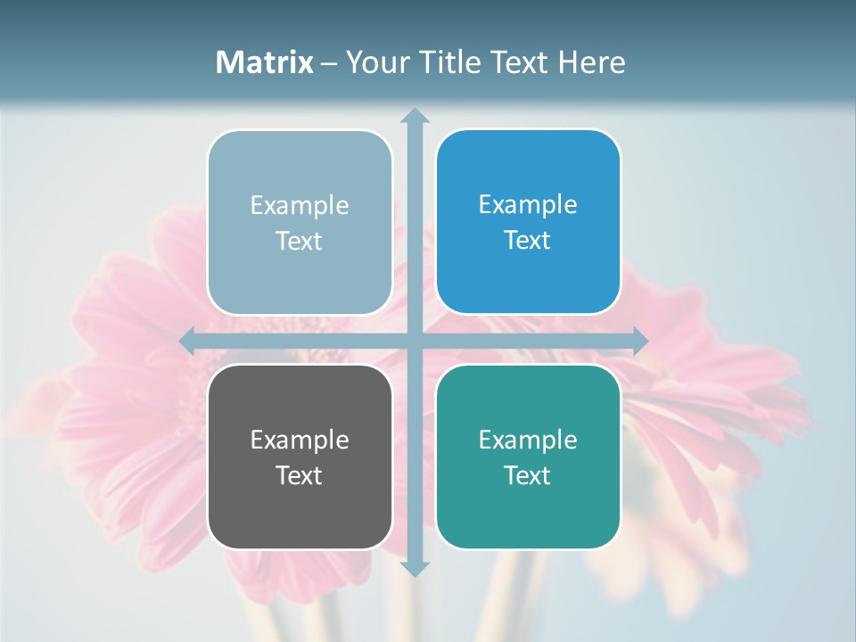 Three Pink Flowers In A Vase On A Blue Background PowerPoint Template