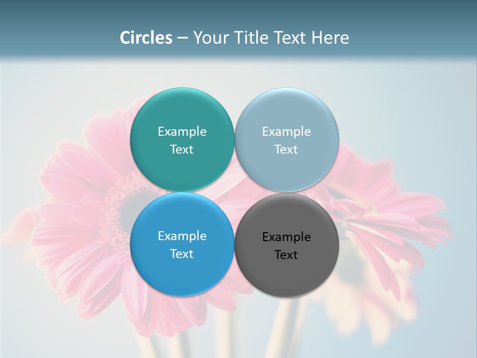 Three Pink Flowers In A Vase On A Blue Background PowerPoint Template