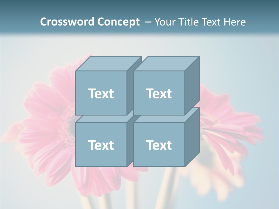 Three Pink Flowers In A Vase On A Blue Background PowerPoint Template