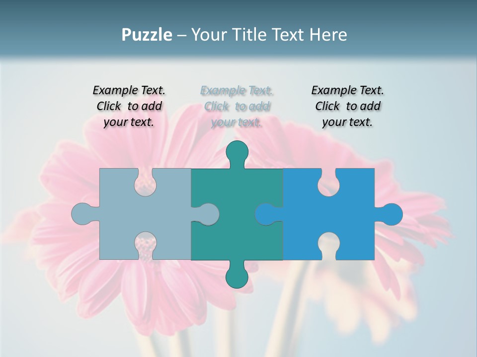 Three Pink Flowers In A Vase On A Blue Background PowerPoint Template