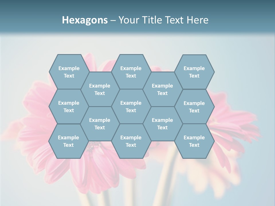 Three Pink Flowers In A Vase On A Blue Background PowerPoint Template