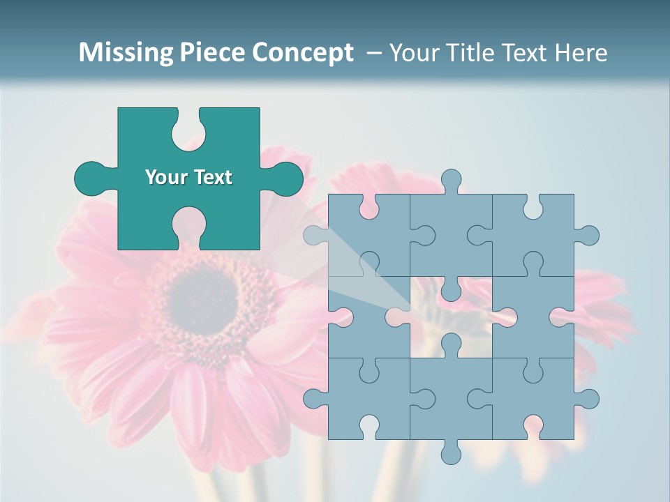 Three Pink Flowers In A Vase On A Blue Background PowerPoint Template