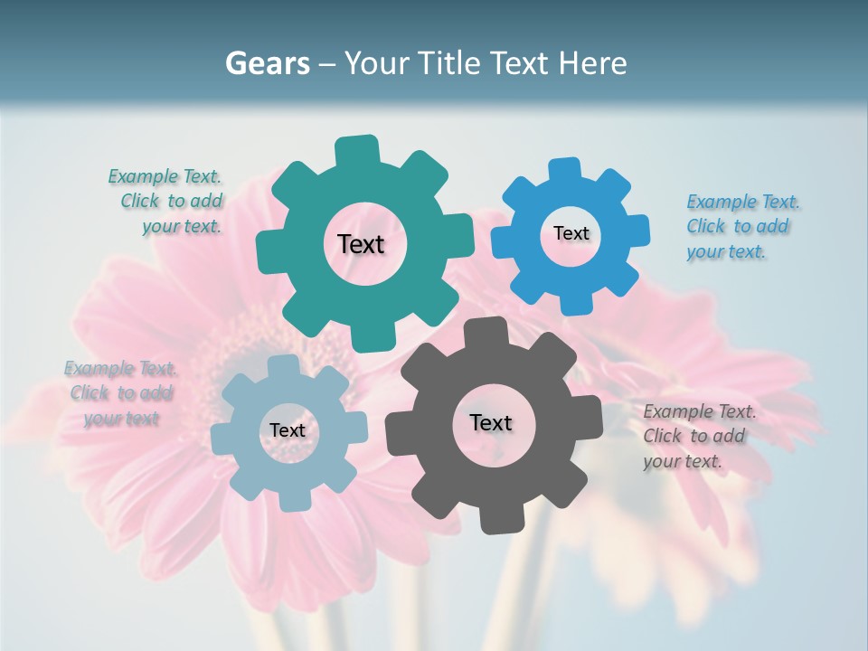 Three Pink Flowers In A Vase On A Blue Background PowerPoint Template