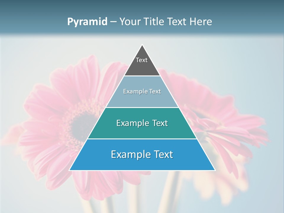 Three Pink Flowers In A Vase On A Blue Background PowerPoint Template