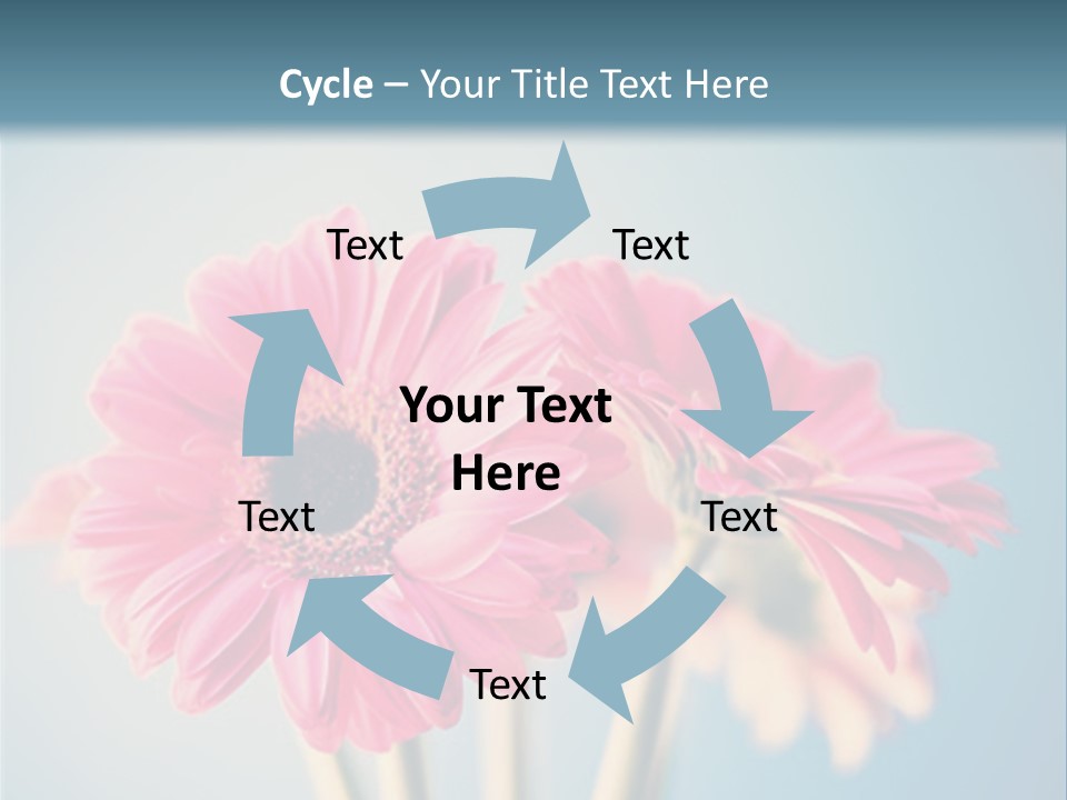 Three Pink Flowers In A Vase On A Blue Background PowerPoint Template