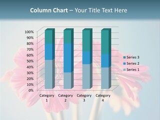 Three Pink Flowers In A Vase On A Blue Background PowerPoint Template