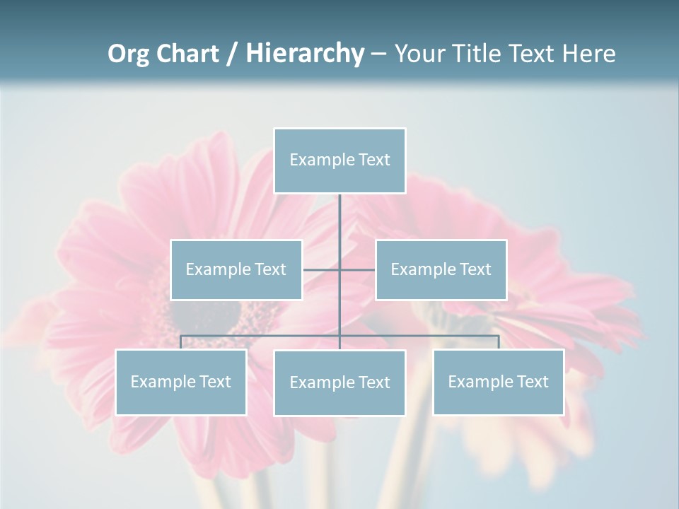 Three Pink Flowers In A Vase On A Blue Background PowerPoint Template