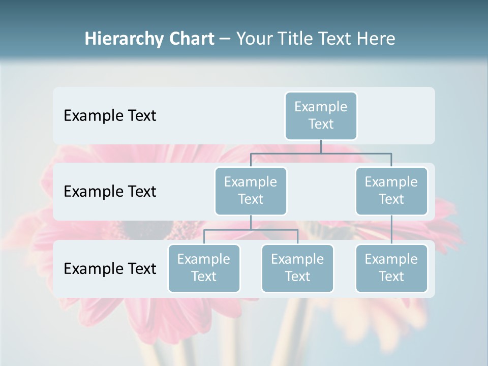 Three Pink Flowers In A Vase On A Blue Background PowerPoint Template