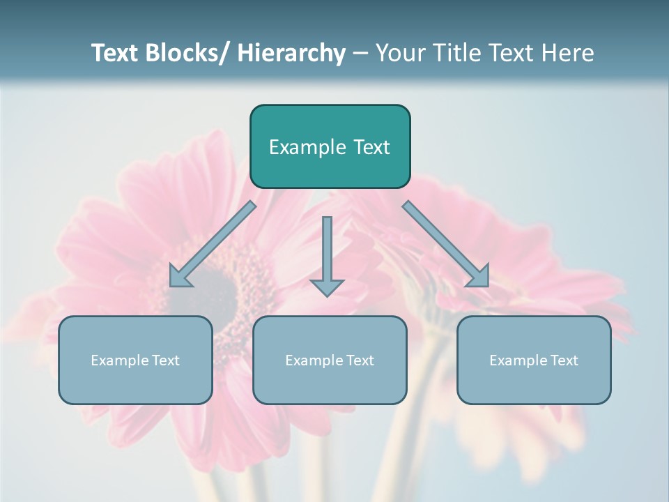 Three Pink Flowers In A Vase On A Blue Background PowerPoint Template