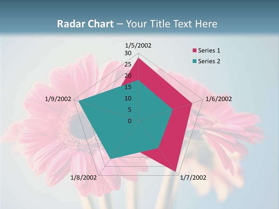 Three Pink Flowers In A Vase On A Blue Background PowerPoint Template