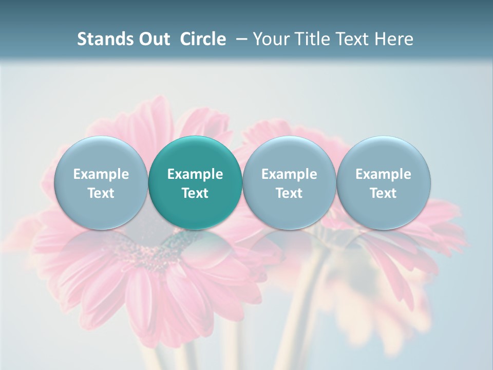 Three Pink Flowers In A Vase On A Blue Background PowerPoint Template
