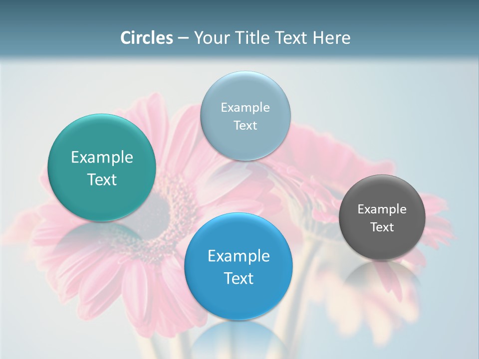 Three Pink Flowers In A Vase On A Blue Background PowerPoint Template