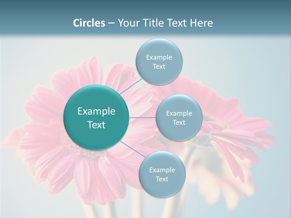 Three Pink Flowers In A Vase On A Blue Background PowerPoint Template