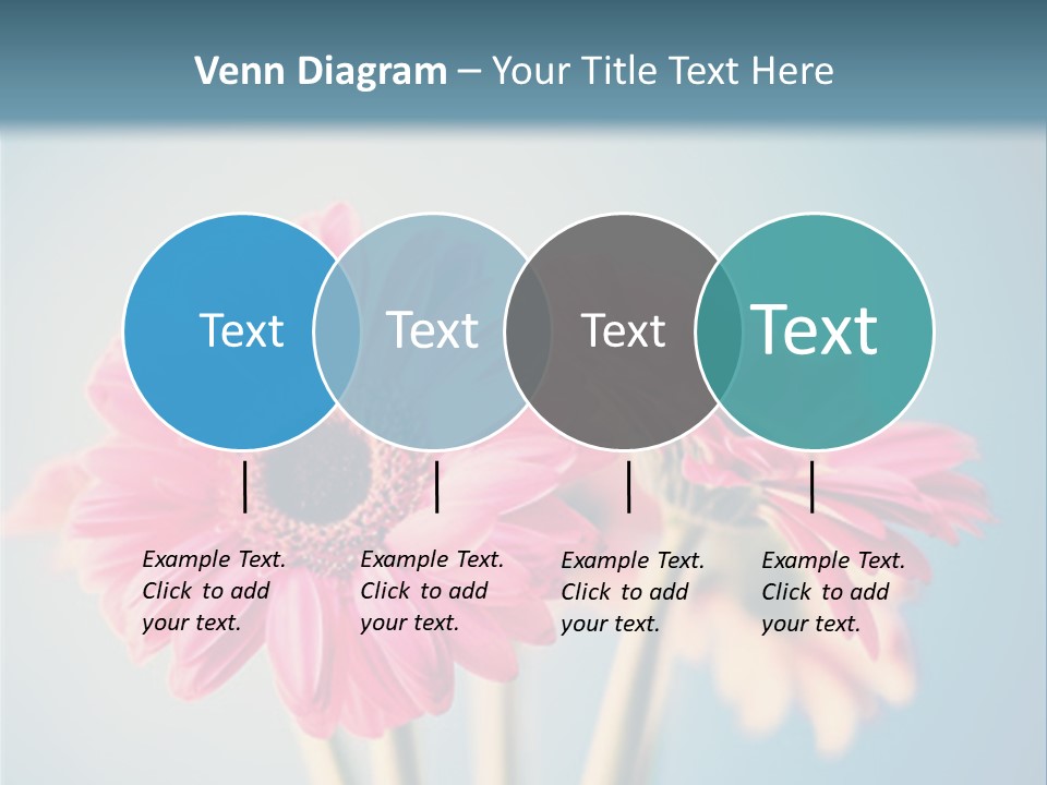 Three Pink Flowers In A Vase On A Blue Background PowerPoint Template