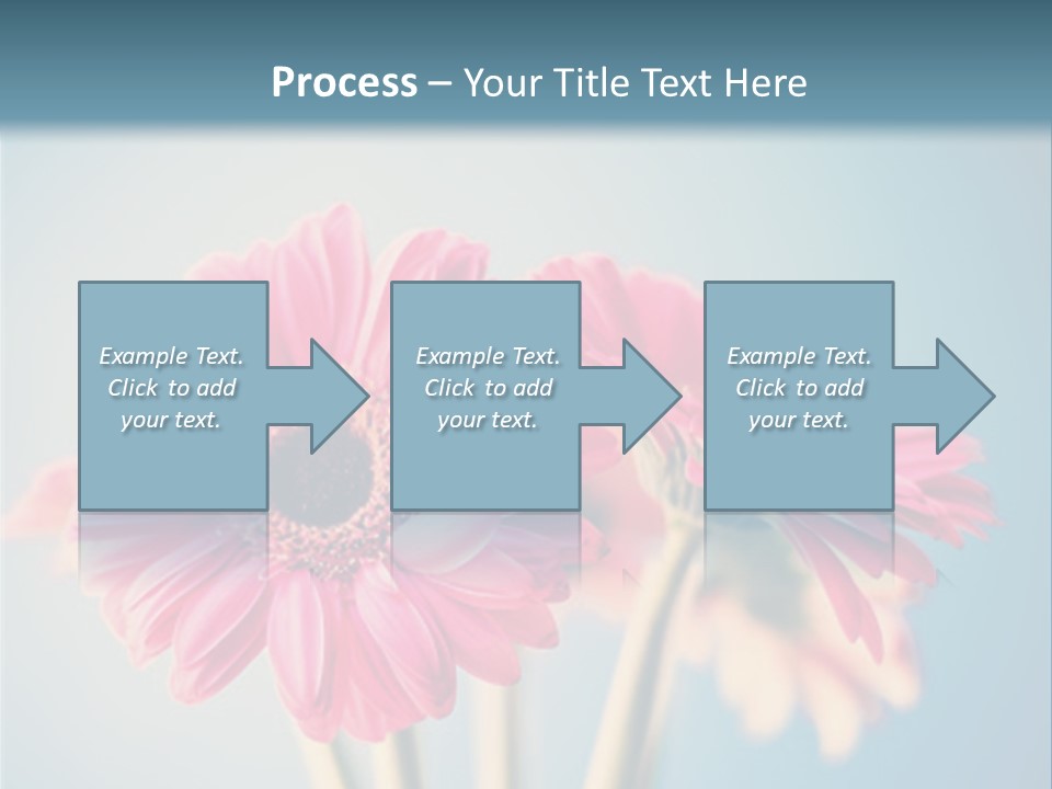 Three Pink Flowers In A Vase On A Blue Background PowerPoint Template