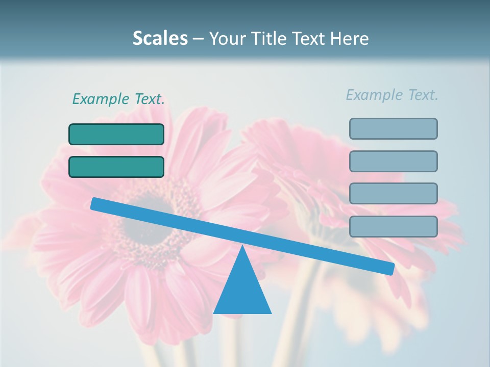 Three Pink Flowers In A Vase On A Blue Background PowerPoint Template