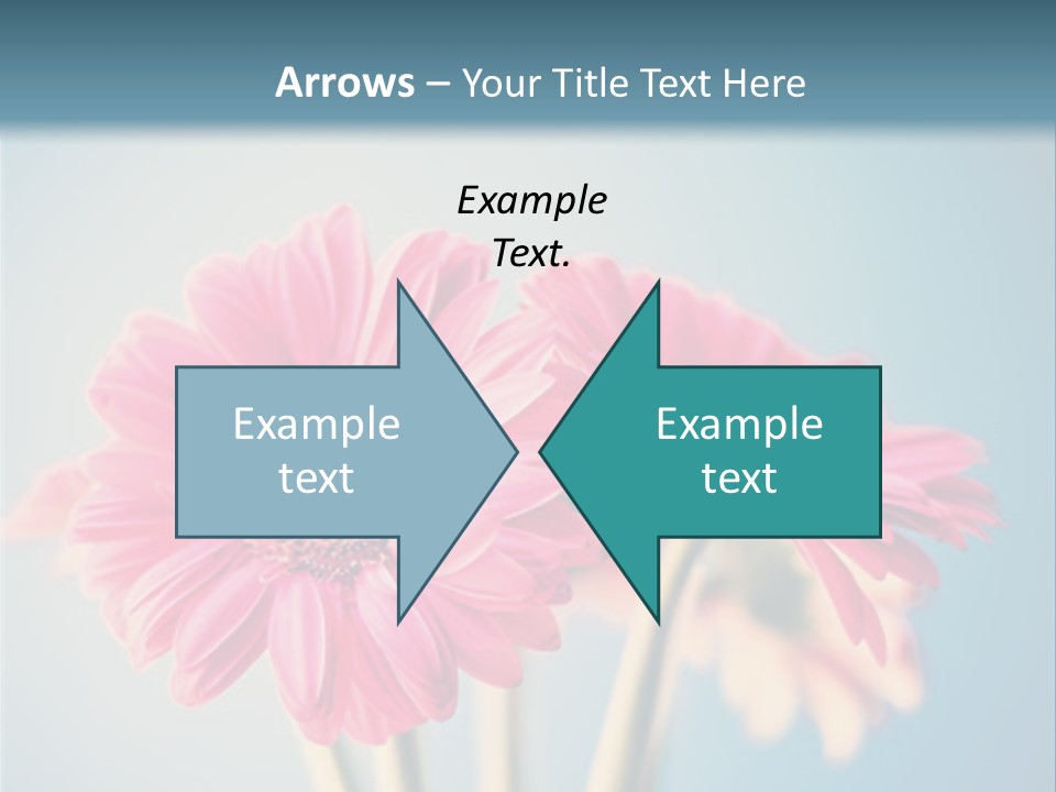 Three Pink Flowers In A Vase On A Blue Background PowerPoint Template