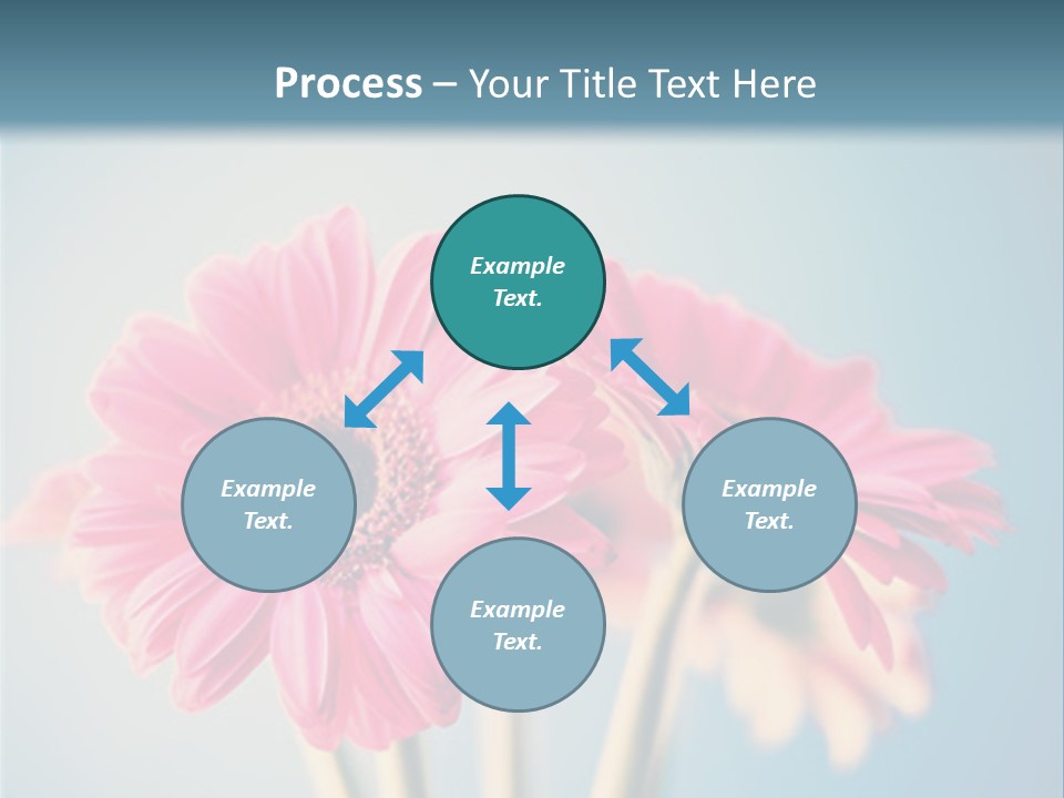 Three Pink Flowers In A Vase On A Blue Background PowerPoint Template