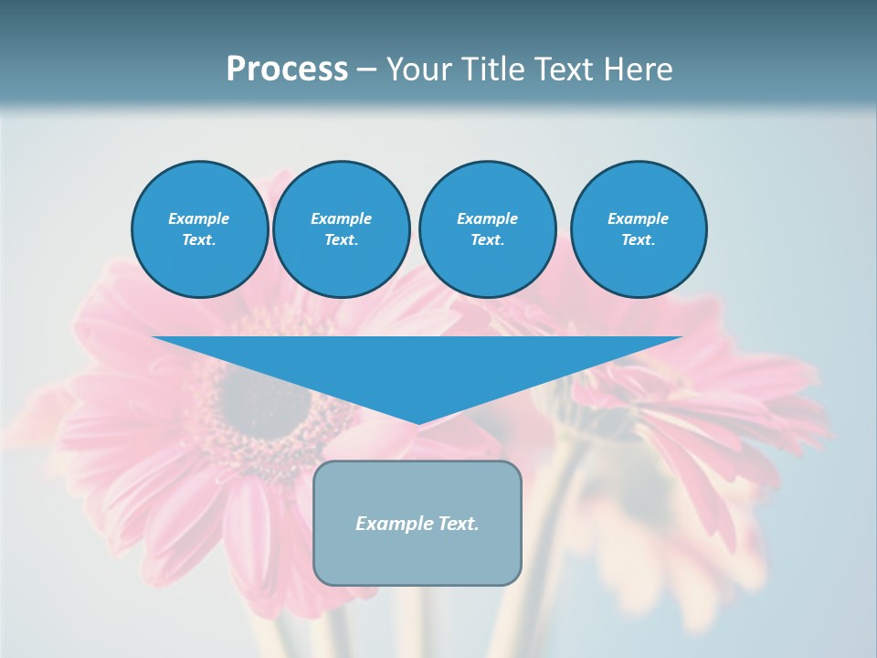 Three Pink Flowers In A Vase On A Blue Background PowerPoint Template