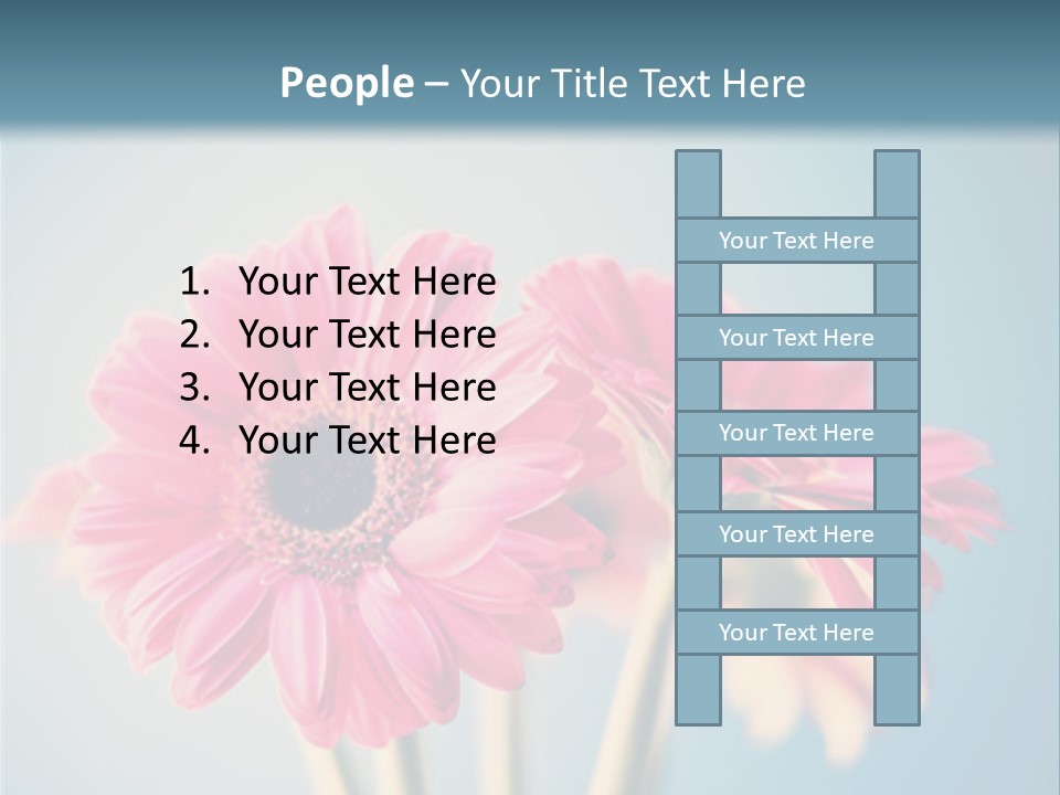Three Pink Flowers In A Vase On A Blue Background PowerPoint Template