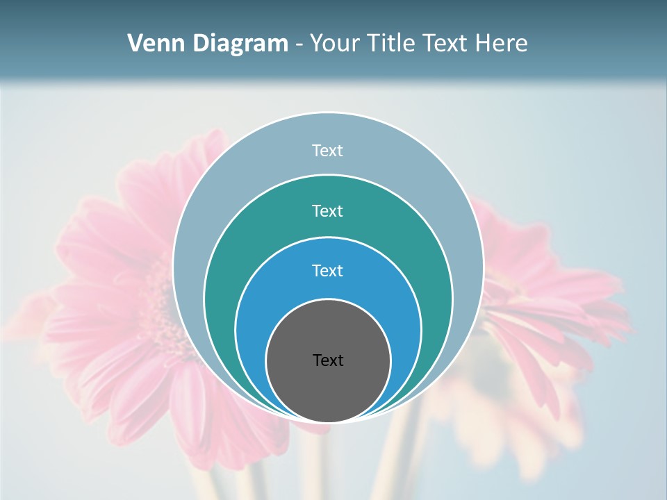 Three Pink Flowers In A Vase On A Blue Background PowerPoint Template